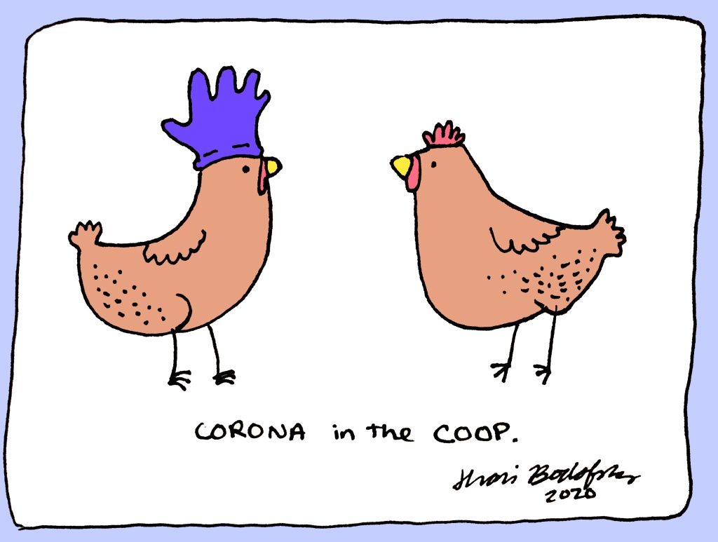 corona in the coop color
