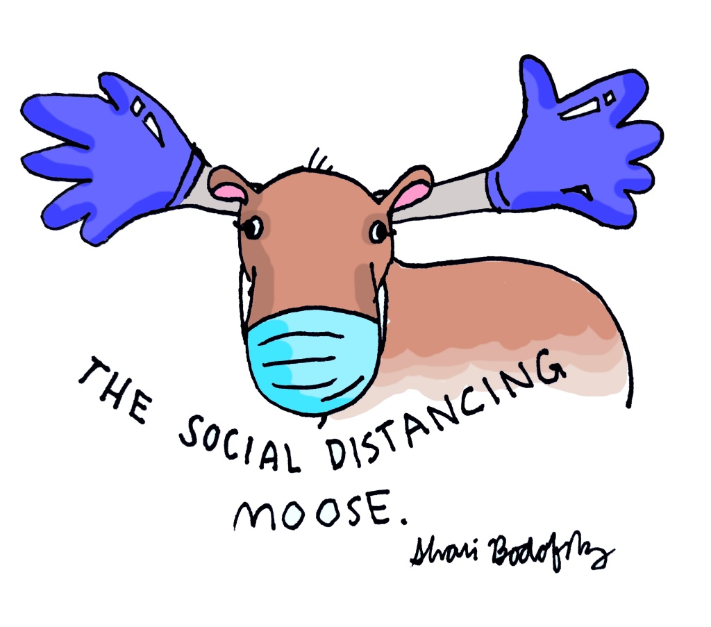 the social distancing moose